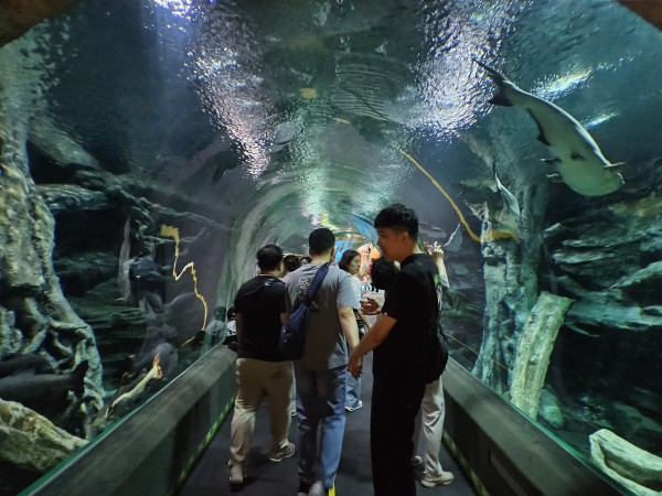 539f14b0466cad9e3665df1022d76fa4_1766417