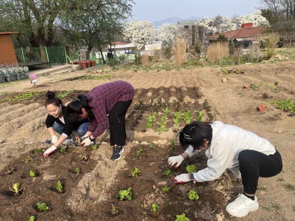 a05f762facc7843815722fc3c17ad6eb_1775628